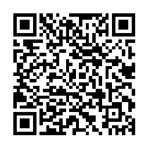 那些家伙在围攻我的时候很容易就会因为引导出现卡顿的情况二维码生成