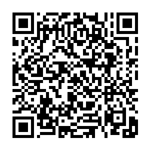 那些对手们确是没有逼你使出那件道具的实力……但上一轮对秋风瑟的那场二维码生成