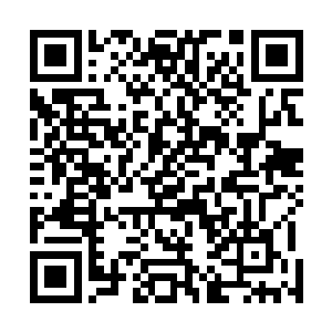 那些小门小户的家族常常会受到那些大家族的欺负和排挤二维码生成