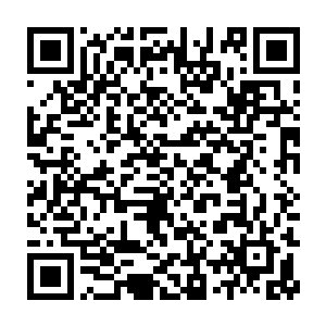 那些工商税务卫生消防的执法队员们也完成了例行任务的检查工作二维码生成