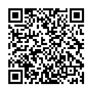 那些早就散落在地上的落叶再一次在那根细细的枝条的指挥下二维码生成