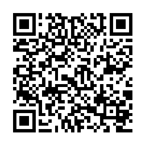 那些昨夜没有出现在灵堂的乐家仆人纷纷从睡梦中醒了过来二维码生成