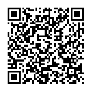 那些普通异形在接受铁血异形的命令之前可是曾经对他发起过攻击的二维码生成
