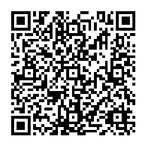 那些朝辟寒大王撞去的血神子竟然也被那从辟寒大王长斧中激荡而出的道道光辉所连续摧毁二维码生成