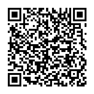 那些未能来得及入城的燕军将士此下已纷纷死在了他们的利刃之下二维码生成