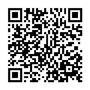 那些死去的生命不过是所有算计中最无足轻重的小小数字二维码生成
