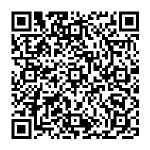 那些没有邀请函却蹲守在日落塔酒店的记者和普通民众们不久之后就看到了神奇的一幕幕二维码生成