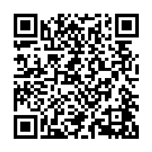 那些狼人和血蝙蝠们原本如同潮水一样的攻势顿时受到了压制二维码生成