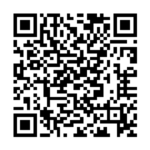 那些生存的青蛇殿和赤蛇殿的弟子们自然而然地认为他们的殿主二维码生成