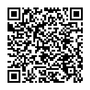 那些生活在地下的藤蔓和虫子确实是和地面上的兽类们井水不犯河水二维码生成