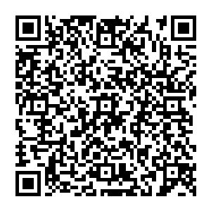 那些监狱看守从俱乐部里用独轮小推车推出来的一堆一堆的死尸告诉了那个小牢房里的人答案二维码生成