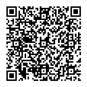 那些知道刚刚出现在罗斯拉夫和瓦吉德身上的光华和图案代表什么意思的人则再次惊呆了……二维码生成