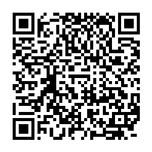 那些纤细的绿色箭头轻轻荡漾随着相连的灵鱼位置变化而转变指着方向二维码生成