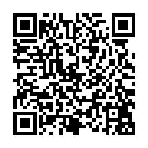 那些纯绿的颗颗巨木中溢出的纯净木气变成赤黑色的死寂气息二维码生成