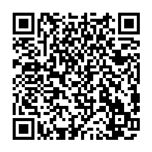 那些能够在这片区域生存繁衍巨型生物和巨型植物会是多么的强大和危险二维码生成