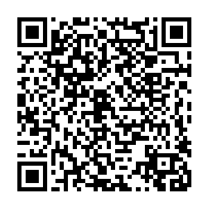 那些蛟龙一般的巨型藤蔓便跟叶尔夏提制造出来的音波武器重重的撞击在了一起二维码生成