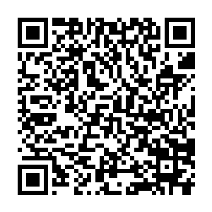 那些衣冠楚楚的宾客们没人真心享受着这些巨量金钱才能带来的享受二维码生成