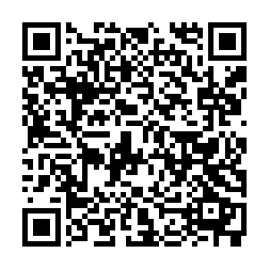 那些被赵长枪打翻在擂台上的武真会馆的弟子便全都老老实实的趴在地上二维码生成
