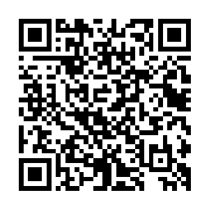 那些覆盖在楚旬体表的冰块碎片也仿佛是遇到了什么克星一般二维码生成