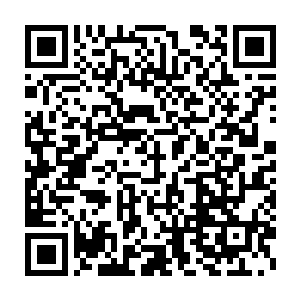 那些长在我和陈景皓身上的植被又快速的朝着我们的血管之中扎了进去二维码生成