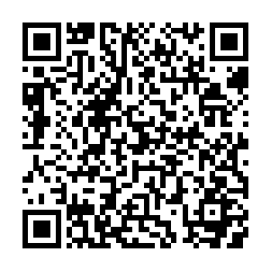 那些阻挡在楚旬前行路上的血骑士和战争军团根本就无法阻挡他们前进的步伐二维码生成