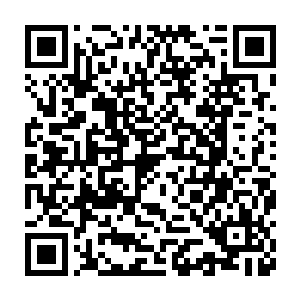 那从熊孩子和轩辕剑上激荡而出的璀璨绿光也凝聚成了一条青龙虚影二维码生成