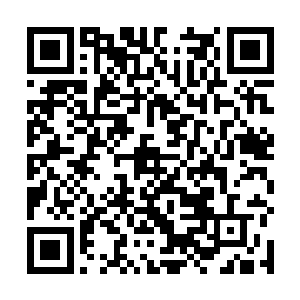 那他们就必须为数量庞大素质参差不齐的粉丝行为买单二维码生成