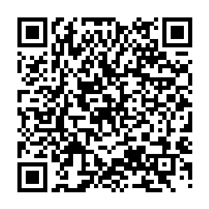 那他们的力量也迟早会在这些植物无穷无尽的攻击之下被一点一点的消耗干净二维码生成