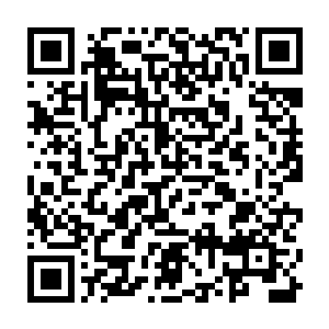 那他凭什么用了不到一年的时间就越过了从仙皇后期巅峰到人尊期这么大的跨度二维码生成