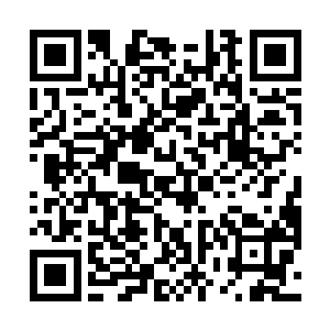 那他就得使尽浑身解数把农用地变建设用地的手续办成二维码生成