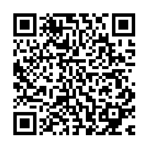 那以后我们也许就要这样过下去了……不管以前是怎么安排的二维码生成