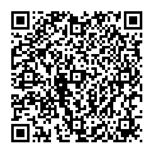 那份文件是由帝国外交部和军部联合出具的一份帝国疆域内所有领空的特别通信证明和一份行动备忘录二维码生成