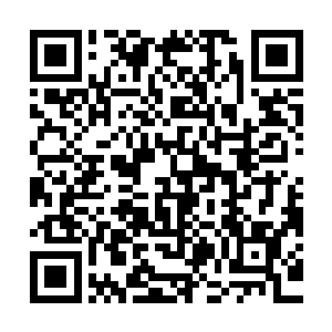 那传说中的虚无三大种族的人也很少搭理他们十大种族的人一样二维码生成
