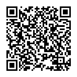 那位伐燕之后就一直赋闲待罪的小蔡相公就议定以枢密院都承旨名义起用二维码生成