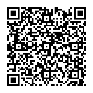 那位负责这次活动的香港本地风水师老者笑吟吟的又递给了每一个地区的风水师们一张表格二维码生成