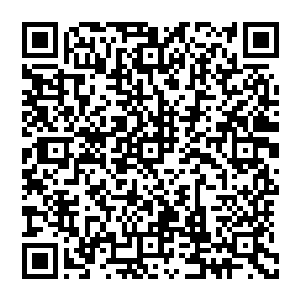 那你也说了啊　任何关系都沒有金钱关系來的脆弱　那回头他们來了你这又被人再挖回去了怎么办　二维码生成