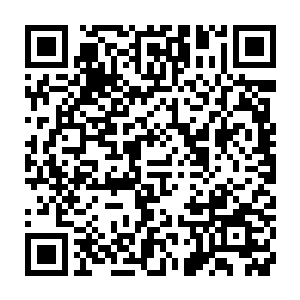 那你的意思就让爷眼睁睁地看着晏晨死在他们手里而什么也不做吗二维码生成
