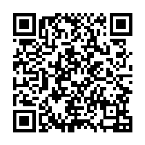 那便是因为双头巨蝠确实是被他炼制成了傀儡一般的僵尸二维码生成