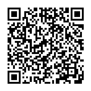 那便是将唐家庄园里二十几个紫皇门弟子和指导道长尽数杀死的鬼帝吧二维码生成