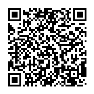 那便是这一切的前提条件都必须建立在他能够架得住野猪这一击上二维码生成