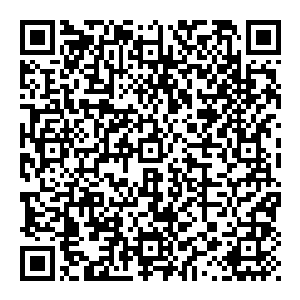 那倒不是还有些朱雀蛋你带上一个小族群没有最底层的蛋是不完整的我们的族人虽然没有经历过外界的风雨洗礼但绝对不是弱者二维码生成