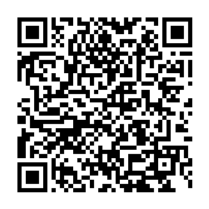 那充满厚重气息的如同酒阕的小鼎在周鹤真气的支撑下飞速的转动着二维码生成