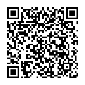 那冻结在楚旬身体表面的冰层便仿佛是受到了某种力量的溶解一般二维码生成