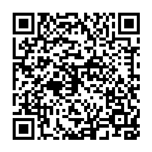 那凌厉至极的刀芒便狠狠轰击在了奶牛之王那尚未完全闭合的双眼之上二维码生成