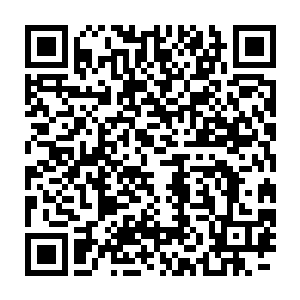 那几个修为稍微弱一点竟然硬生生的被龙傲天的重力法则给压爆了二维码生成