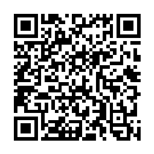 那几个和守门人接触的修真者在这件事没过多久就死去了二维码生成