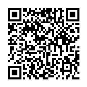 那几个猛男敢死队的人离开镇魔塔后也在狐疑代离的去向二维码生成