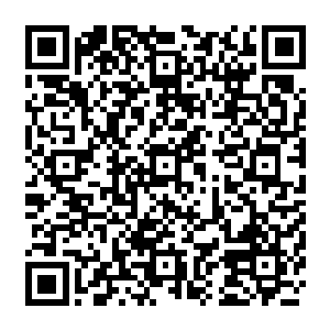 那几只刚刚才开始奔跑起来的荒原角鹿一时间竟然无法把与少年们的距离完全拉开二维码生成