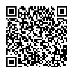 那几只蝙蝠在漆黑的矿洞中噗噗噗的煽动着翅膀的声音会显得很大二维码生成