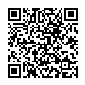 那几条血触手也是对准了野猪的双手上缠绕了过去二维码生成